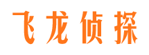 远安市私家侦探